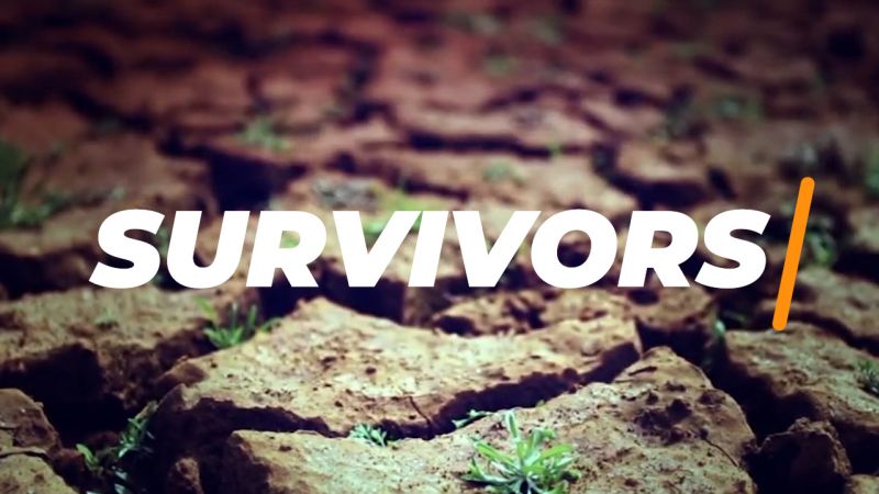 SURVIVORS